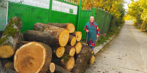 winterhout in Moldaviƫ