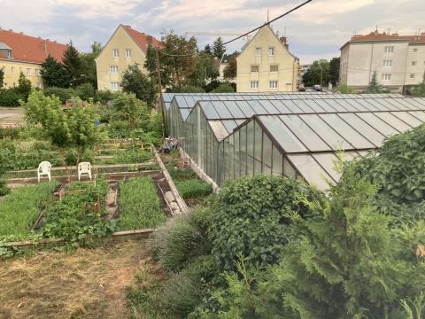 Project Wenen