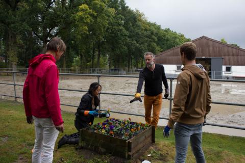 jubileumdag