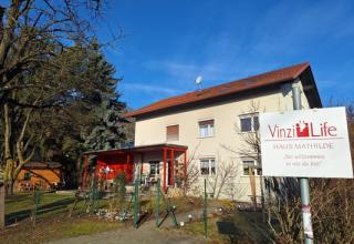 vinzilife