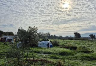 lesvos4